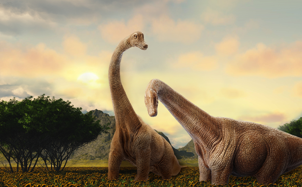 140 million years, Dinosaurs extinct animals, Types & Names