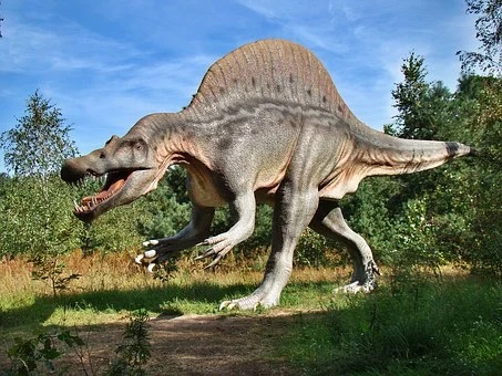 Dinosaur with 500 teeth, Dinosaurs skeleton, Dinosaur fossils