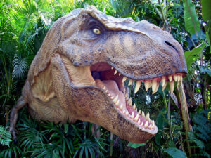 State museum Dinosaur