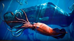 giant squid giant animal