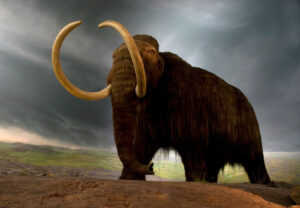mammoths extinct animals