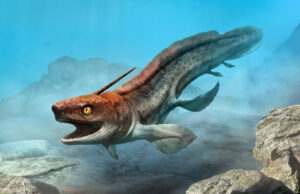 Prehistoric sharks_3