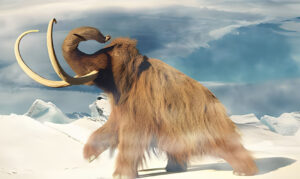 woolly mammoth extinct
