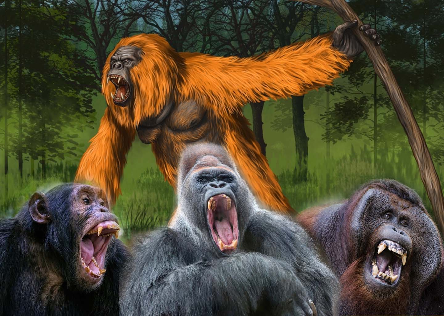 Powerful Gigantopithecus Ape vs Today’s Modern World Apes