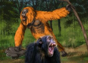 gigantopithecus vs chimpanzee