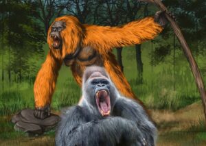 gigantopithecus vs gorilla