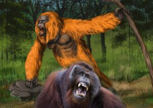 gigantopithecus vs orangutan